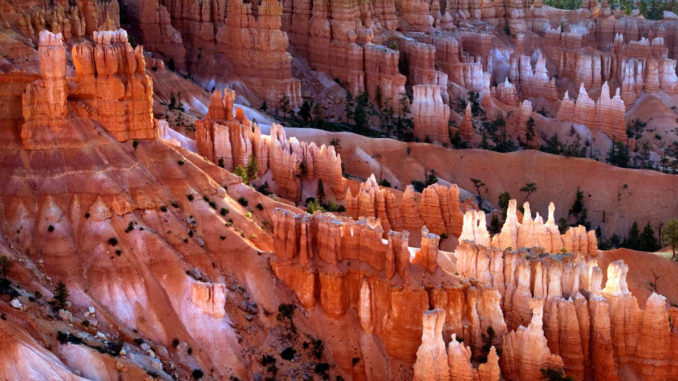 Bryce canyon national park