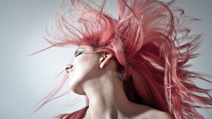 pink-hair-1450045_1280
